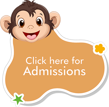 Admissions Background